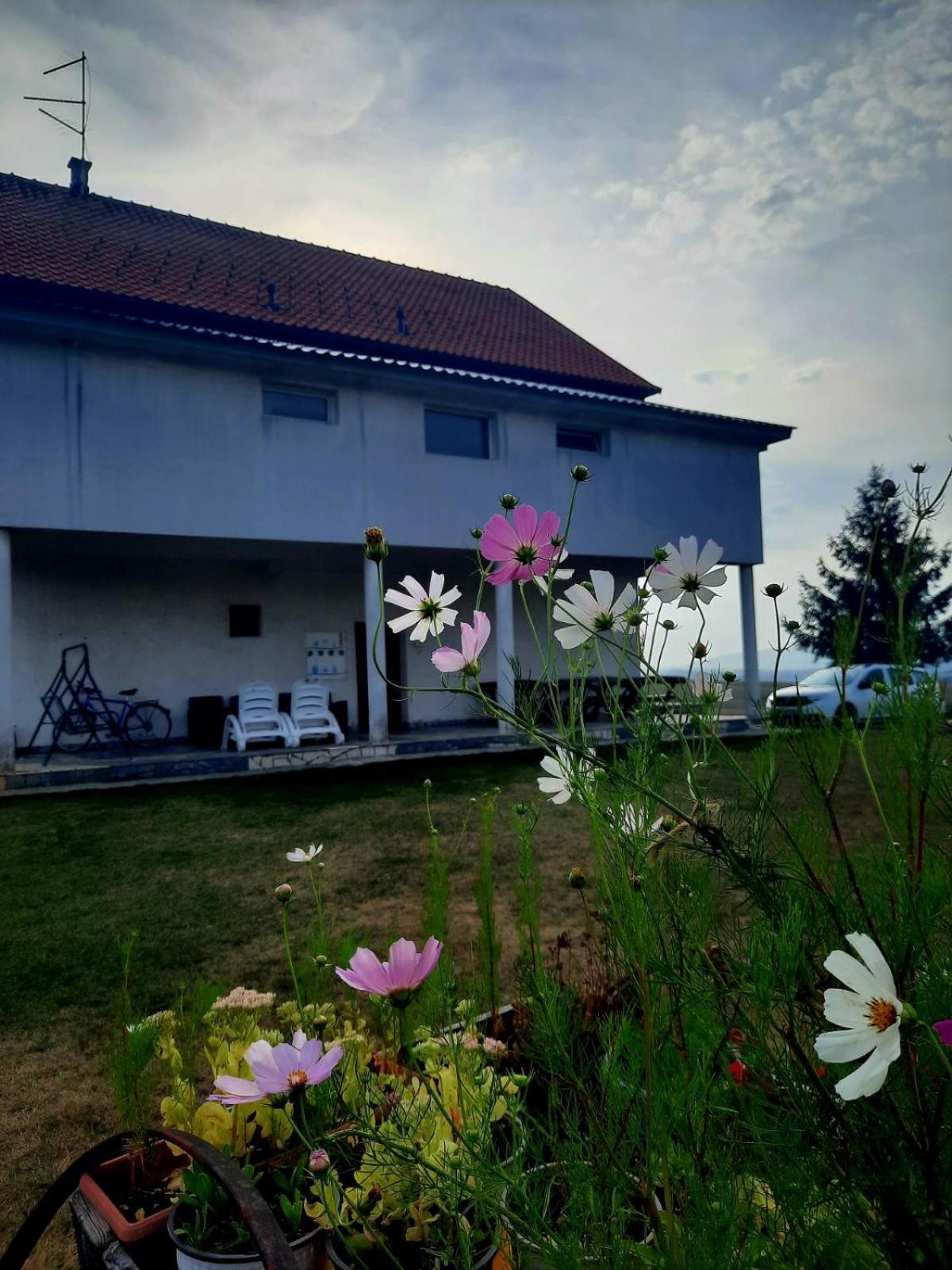 Apartments Zlatiborski Visovi Dış mekan fotoğraf